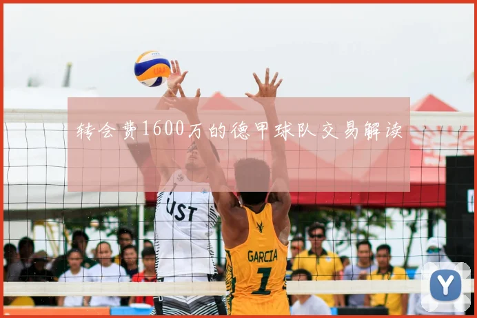转会费1600万的德甲球队交易解读