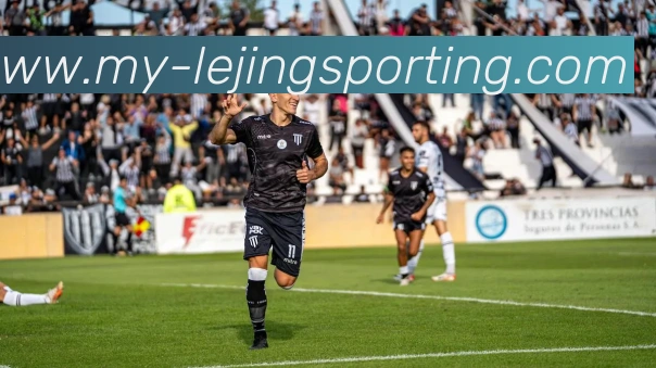 乐竞体育平台生态图